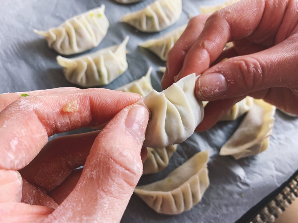 Pork Dumpling - Wrapping up