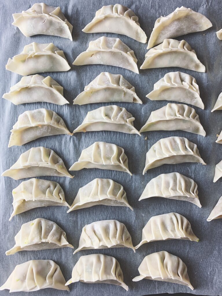 Pork Dumpling Recipe