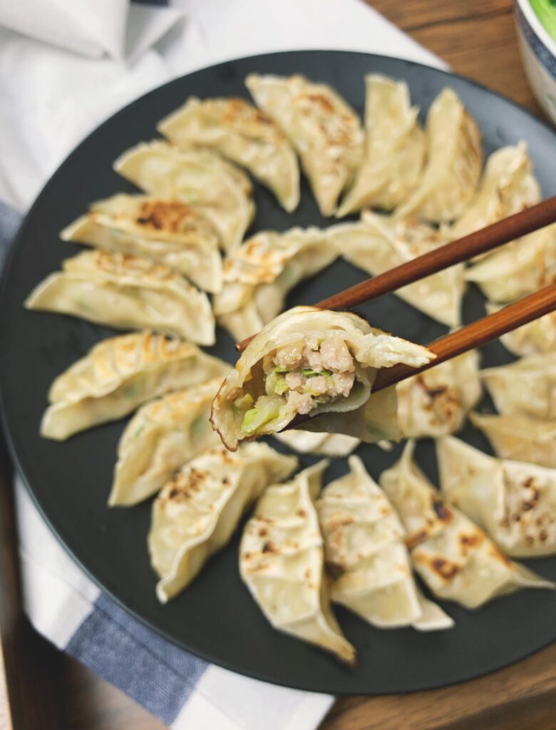 Pork Dumpling Recipe