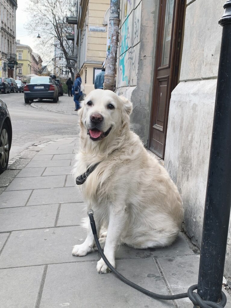 Krakow Streets