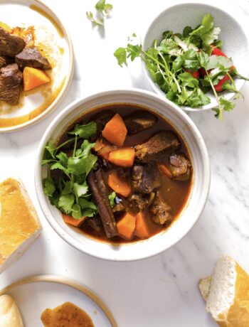 Vietnamese Beef Stew Recipe